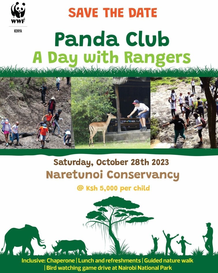 Panda Ranger Training A Day With The Rangers - Kids FunScapes